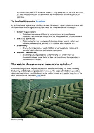 9 Regenerative Farming Practices That Promote Eco-Friendly Agriculture ... - Increased Focus On Eco-Friendly Agricultural Practices