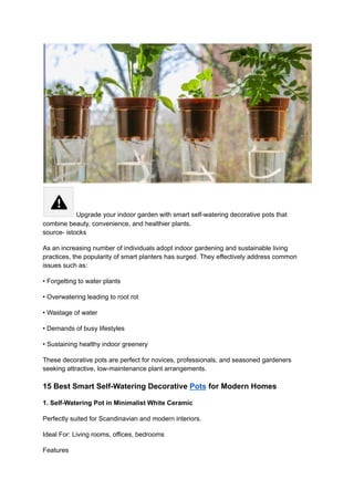 Upgrade your indoor garden with smart self-watering decorative pots that
combine beauty, convenience, and healthier plants.
source- istocks
As an increasing number of individuals adopt indoor gardening and sustainable living
practices, the popularity of smart planters has surged. They effectively address common
issues such as:
• Forgetting to water plants
• Overwatering leading to root rot
• Wastage of water
• Demands of busy lifestyles
• Sustaining healthy indoor greenery
These decorative pots are perfect for novices, professionals, and seasoned gardeners
seeking attractive, low-maintenance plant arrangements.
15 Best Smart Self-Watering Decorative Pots for Modern Homes
1. Self-Watering Pot in Minimalist White Ceramic
Perfectly suited for Scandinavian and modern interiors.
Ideal For: Living rooms, offices, bedrooms
Features
 