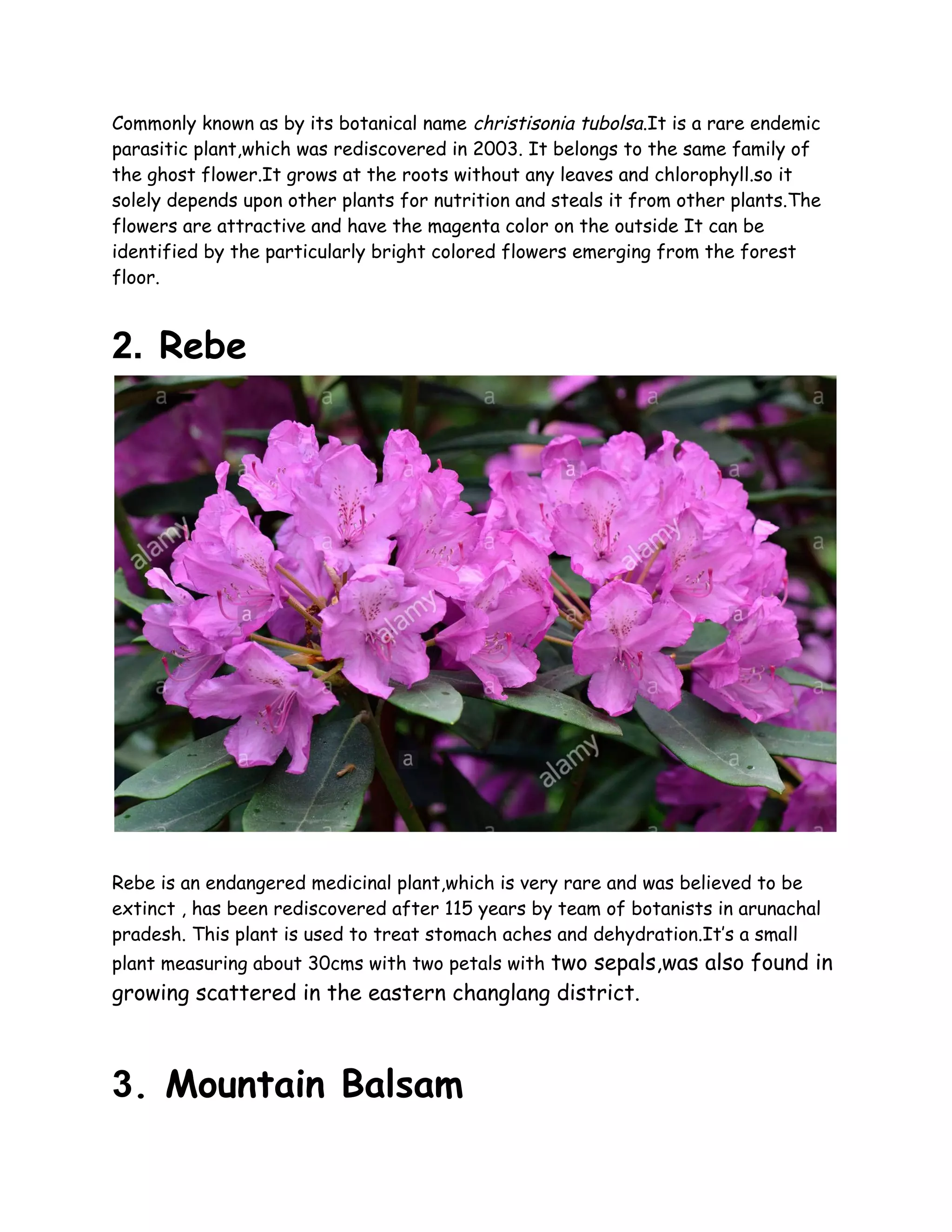 Top 10 Incredible Rare Flowers In India PDF 13-rare-flowers-in-india-you-never-knew-existed