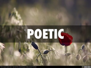 Photo by seyed mostafa zamani - http://www.flickr.com/photos/seyyed_mostafa_zamani/5771861523/

 