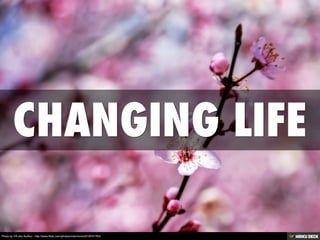 Photo by VÃ-ctor NuÃ±o - http://www.flickr.com/photos/victornuno/2318741763/

 