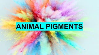 ANIMAL PIGMENTS
 