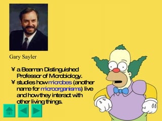 Gary Sayler a Beaman Distinguished Professor of Microbiology. studies how  microbes  (another name for  microorganisms ) live and how they interact with other living things. 