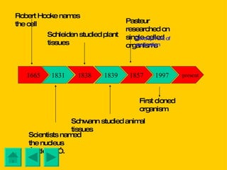 1857 1839 1838 1665 1831 Robert Hooke names the cell Scientists named the nucleus “little nut”. Schleiden studied plant tissues Schwann studied animal tissues Pasteur researched on single-celled organisms 1997 Development of vaccination First cloned organism present 