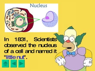 In 1831, Scientists observed the nucleus of a cell and named it " little nut ". 