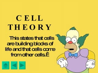 CELL THEORY      This states that cells are building blocks of life and that cells come from other cells.  