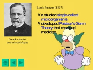 Louis Pasteur (1857) a studied  single-celled microorganisms developed  Pasteur's Germ Theory  that changed medicine French chemist  and microbiologist 