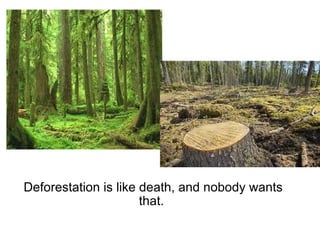 Deforestation is like death, and nobody wants that.  