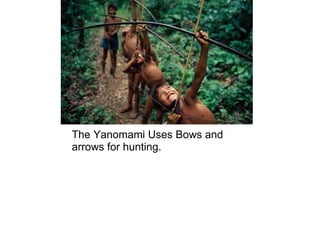 The Yanomami Uses Bows and arrows for hunting.