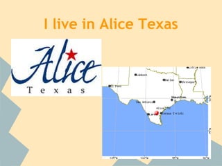 I live in Alice Texas