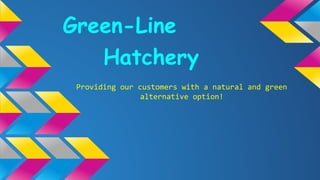 Green-Line
Hatchery
Providing our customers with a natural and green
alternative option!

 