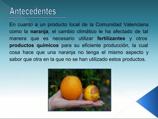 En cuanto a un producto local de la Comunidad Valenciana
como la naranja, el cambio climático le ha afectado de tal
manera que es necesario utilizar fertilizantes y otros
productos químicos para su eficiente producción, la cual
cosa hace que una naranja no tenga el mismo aspecto y
sabor que otra en la que no se han utilizado estos productos.
 