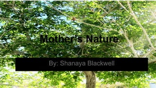 By: Shanaya Blackwell
Mother’s Nature
 