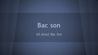 Bac son
All about Bac Son
 
