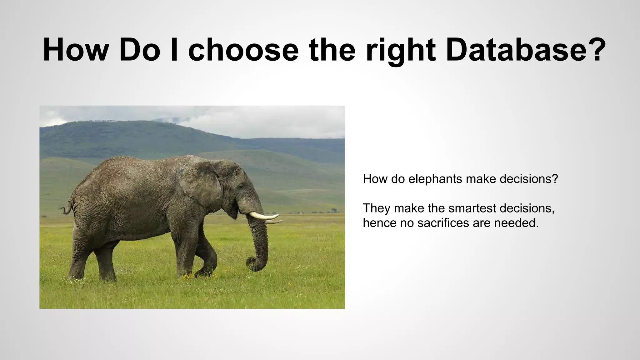 How Do I choose the right Database?
How do elephants make decisions?
They make the smartest decisions,
hence no sacrifices are needed.
 