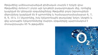 Թթվածինը ամենատարածված քիմիական տարրն է Երկրի վրա։
Թթվածինը մտնում է բոլոր այն նյութերի բադադրության մեջ, որոնցից
կազմված են կենդանի օրգանիզմները։ Թթվածնի բոլոր իզոտոպների
միջուկները կազմված են 8 պրոտոնից և համապատասխանաբար 6, 7,
8, 9, 10 և 11 նեյտրոնից, իսկ էլեկտրոնային թաղանթը՝ երկու ներքին և
վեց արտաքին էլեկտրոններից։ Մարդու օրգանիզմը պարունակում է
մոտավորապես 65 % թթվածին։
 