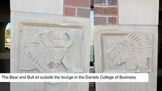 The Bear and Bull sit outside the lounge in the Daniels College of Business
 