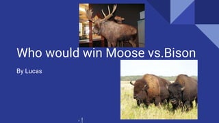 Who would win Moose vs.Bison
By Lucas
 