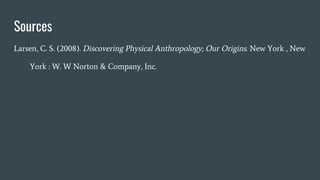 Sources
Larsen, C. S. (2008). Discovering Physical Anthropology; Our Origins. New York , New
York : W. W Norton & Company, Inc.
 