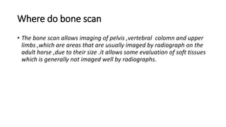 Where do bone scan
• The bone scan allows imaging of pelvis ,vertebral colomn and upper
limbs ,which are areas that are usually imaged by radiograph on the
adult horse ,due to their size .it allows some evaluation of soft tissues
which is generally not imaged well by radiographs.
 