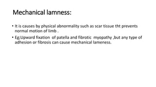 Mechanical lamness:
• It is causes by physical abnormality such as scar tissue tht prevents
normal motion of limb .
• Eg;Upward fixation of patella and fibrotic myopathy ,but any type of
adhesion or fibrosis can cause mechanical lameness.
 
