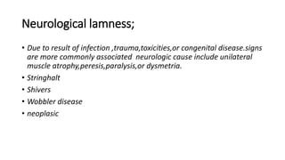 Neurological lamness;
• Due to result of infection ,trauma,toxicities,or congenital disease.signs
are more commonly associated neurologic cause include unilateral
muscle atrophy,peresis,paralysis,or dysmetria.
• Stringhalt
• Shivers
• Wobbler disease
• neoplasic
 