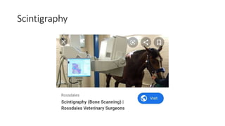 Scintigraphy
 