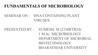FUNDAMENTALS OF MICROBIOLOGY
SEMINAR ON : DNA CONTAINING PLANT
VIRUSES
PRESENTED BY : SUMESH. M (21MBTB24)
1 M.Sc. MICROBIOLOGY
DEPARTMENT OF MICROBIAL
BIOTECHNOLOGY
BHARATHIAR UNIVERSITY
 
