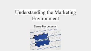 Understanding the Marketing Environment | PDF