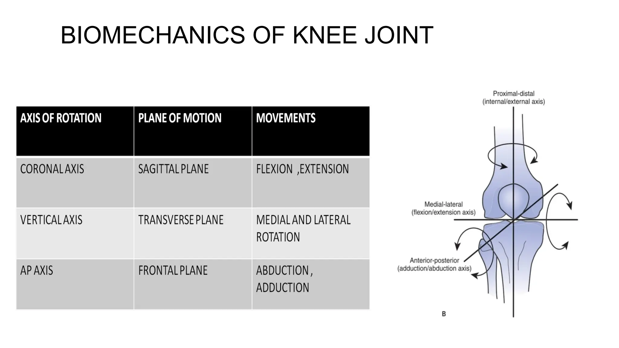 BIOMECHANICS OF KNEE JOINT
 