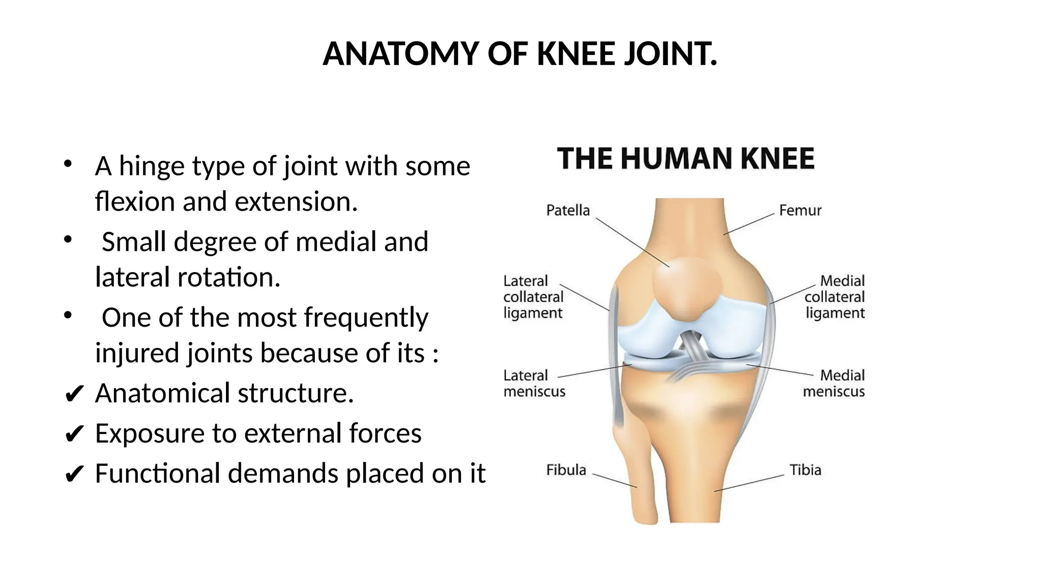 ANATOMY OF KNEE JOINT.
• A hinge type of joint with some
flexion and extension.
• Small degree of medial and
lateral rotation.
• One of the most frequently
injured joints because of its :
✔ Anatomical structure.
✔ Exposure to external forces
✔ Functional demands placed on it
 