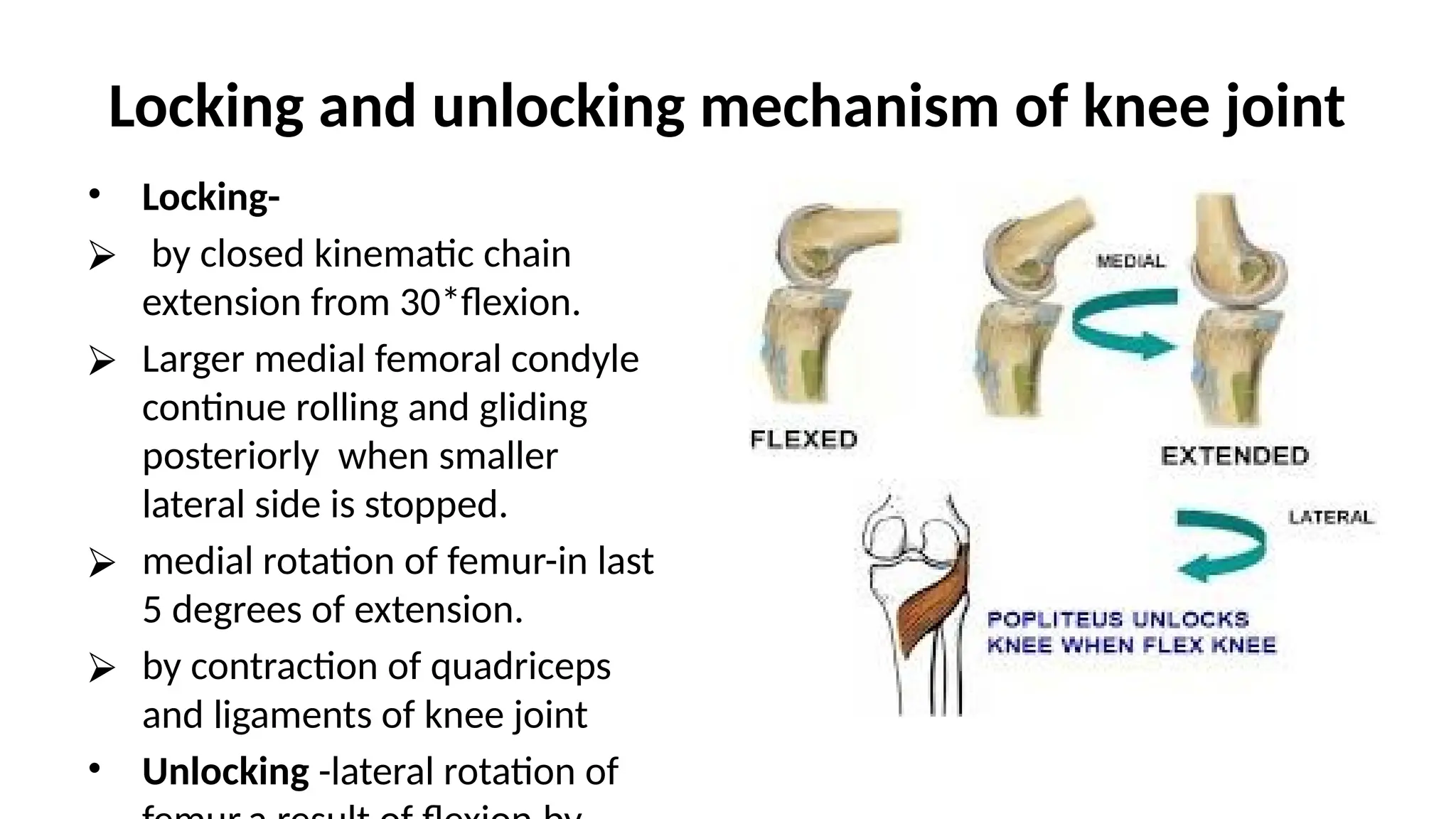 Locking and unlocking mechanism of knee joint
• Locking-
⮚ by closed kinematic chain
extension from 30*flexion.
⮚ Larger medial femoral condyle
continue rolling and gliding
posteriorly when smaller
lateral side is stopped.
⮚ medial rotation of femur-in last
5 degrees of extension.
⮚ by contraction of quadriceps
and ligaments of knee joint
• Unlocking -lateral rotation of
 