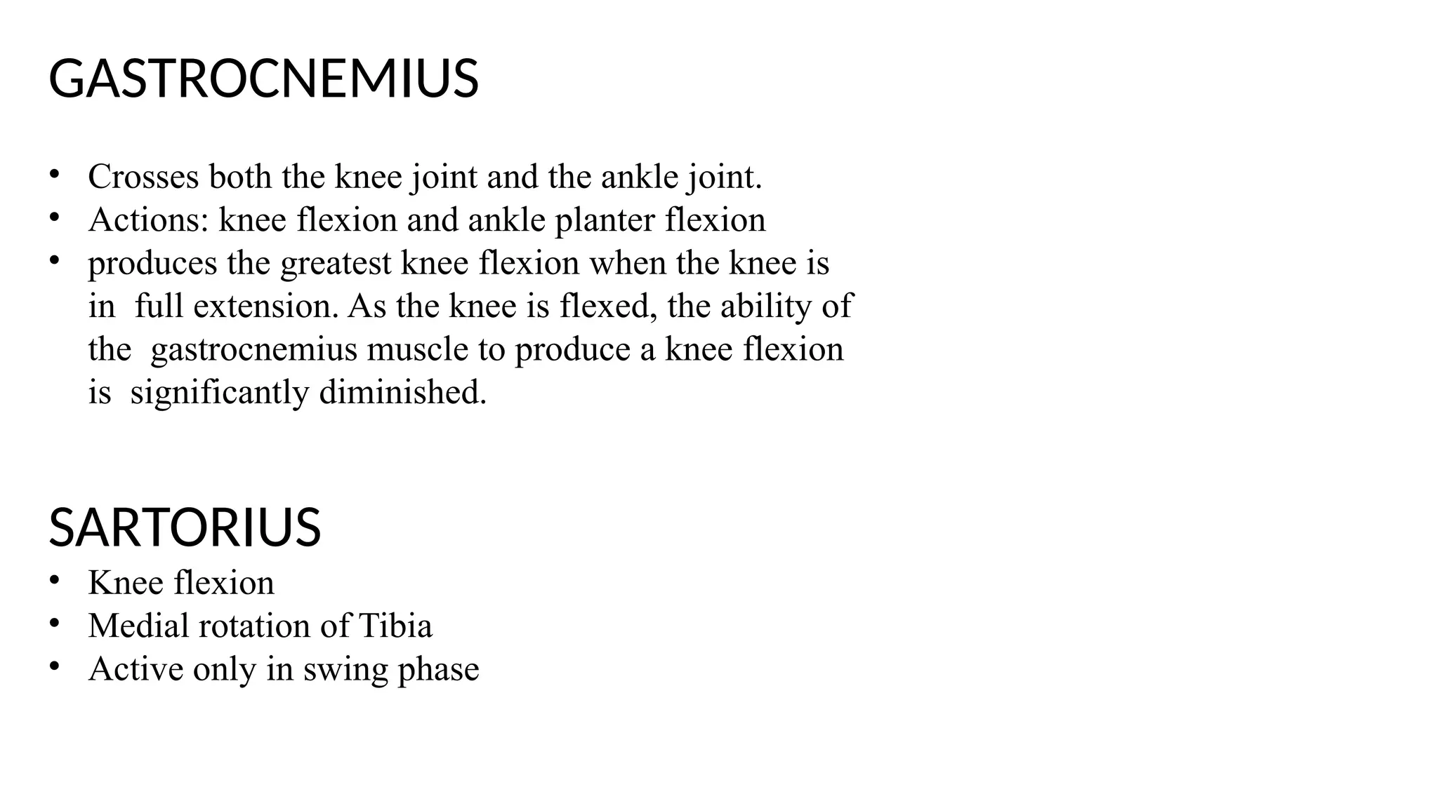 GASTROCNEMIUS
• Crosses both the knee joint and the ankle joint.
• Actions: knee flexion and ankle planter flexion
• produces the greatest knee flexion when the knee is
in full extension. As the knee is flexed, the ability of
the gastrocnemius muscle to produce a knee flexion
is significantly diminished.
SARTORIUS
• Knee flexion
• Medial rotation of Tibia
• Active only in swing phase
 