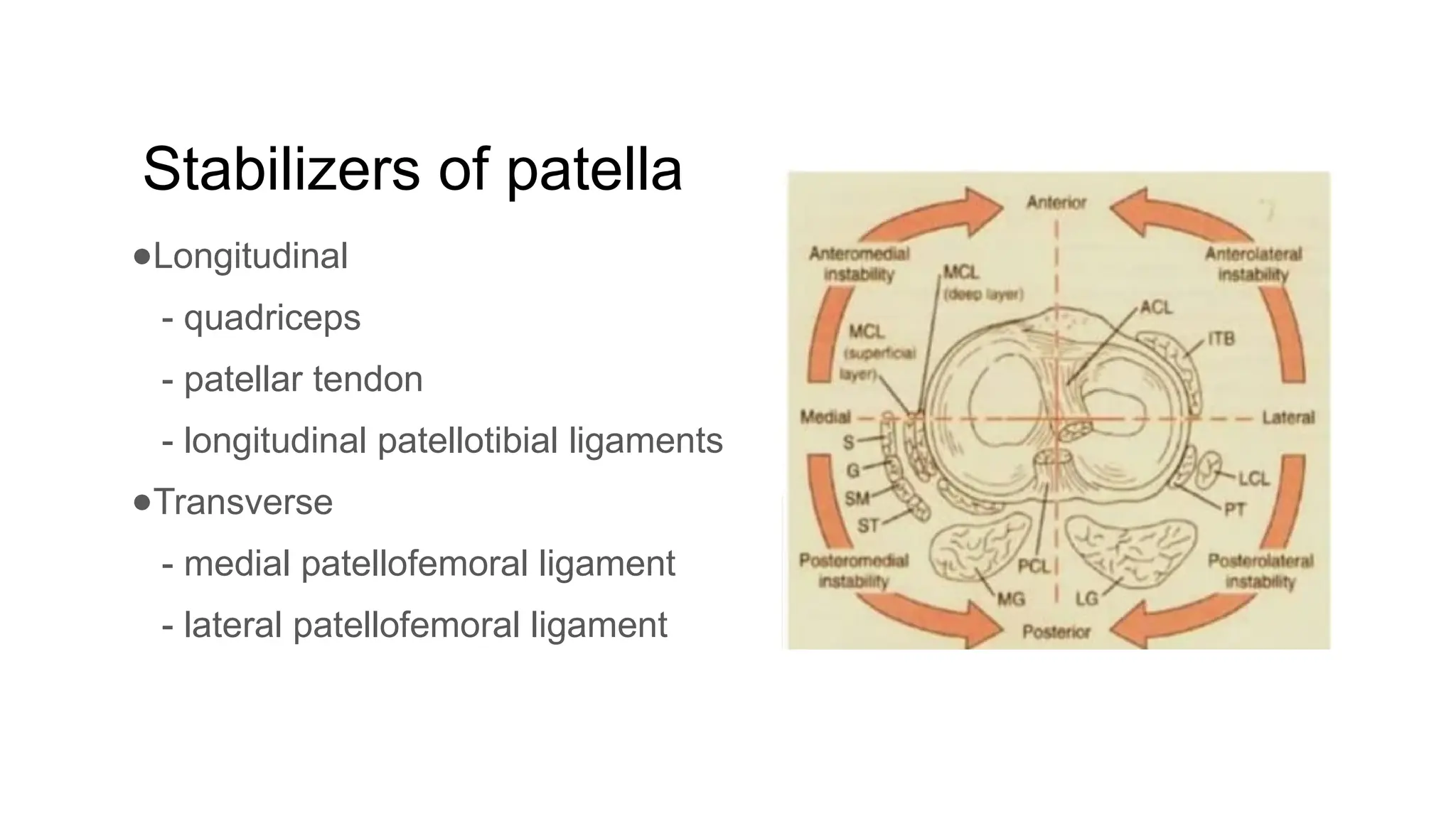 Stabilizers of patella
●Longitudinal
- quadriceps
- patellar tendon
- longitudinal patellotibial ligaments
●Transverse
- medial patellofemoral ligament
- lateral patellofemoral ligament
 