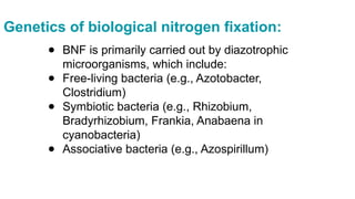 Biological Nitrogen fixation in soil...... | PPTX