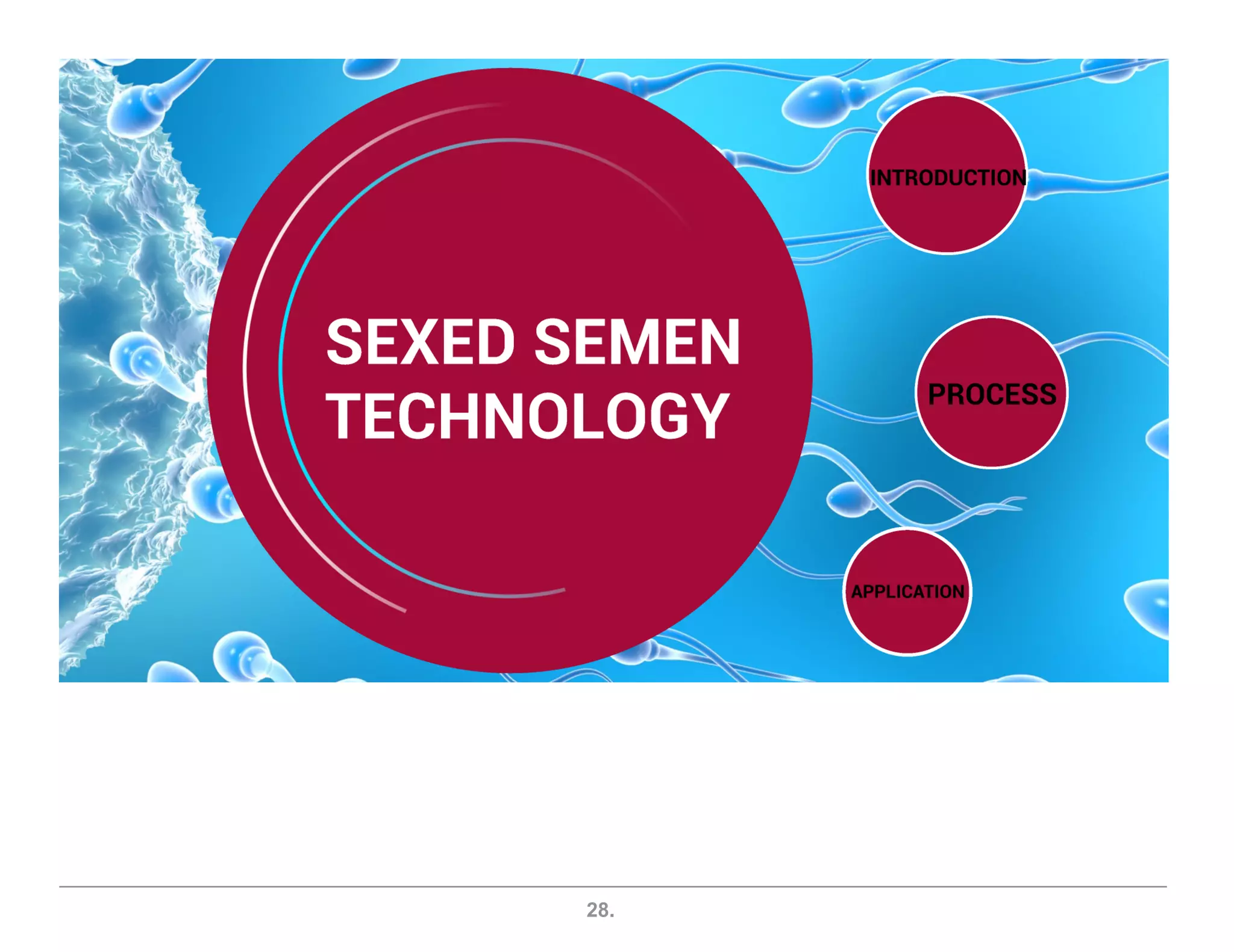 flowcytometry and sexed semen | PDF