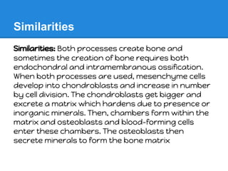 Similarities
Similarities: Both processes create bone and
sometimes the creation of bone requires both
endochondral and intramembranous ossification.
When both processes are used, mesenchyme cells
develop into chondroblasts and increase in number
by cell division. The chondroblasts get bigger and
excrete a matrix which hardens due to presence or
inorganic minerals. Then, chambers form within the
matrix and osteoblasts and blood-forming cells
enter these chambers. The osteoblasts then
secrete minerals to form the bone matrix
 