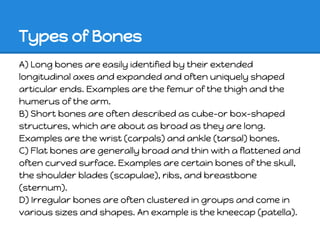 Types of Bones
A) Long bones are easily identified by their extended
longitudinal axes and expanded and often uniquely shaped
articular ends. Examples are the femur of the thigh and the
humerus of the arm.
B) Short bones are often described as cube-or box-shaped
structures, which are about as broad as they are long.
Examples are the wrist (carpals) and ankle (tarsal) bones.
C) Flat bones are generally broad and thin with a flattened and
often curved surface. Examples are certain bones of the skull,
the shoulder blades (scapulae), ribs, and breastbone
(sternum).
D) Irregular bones are often clustered in groups and come in
various sizes and shapes. An example is the kneecap (patella).
 