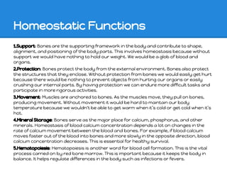 Homeostatic Functions
1.Support: Bones are the supporting framework in the body and contribute to shape,
alignment, and positioning of the body parts. This involves homeostasis because without
support we would have nothing to hold our weight. We would be a glob of blood and
organs.
2.Protection: Bones protect the body from the external environment. Bones also protect
the structures that they enclose. Without protection from bones we would easily get hurt
because there would be nothing to prevent objects from hurting our organs or easily
crushing our internal parts. By having protection we can endure more difficult tasks and
participate in more rigorous activities.
3.Movement: Muscles are anchored to bones. As the muscles move, they pull on bones,
producing movement. Without movement it would be hard to maintain our body
temperature because we wouldn't be able to get warm when it’s cold or get cold when it’s
hot.
4.Mineral Storage: Bones serve as the major place for calcium, phosphorus, and other
minerals. Homeostasis of blood calcium concentration depends a lot on changes in the
rate of calcium movement between the blood and bones. For example, if blood calcium
moves faster out of the blood into bones and more slowly in the opposite direction, blood
calcium concentration decreases. This is essential for healthy survival.
5.Hematopoiesis: Hematopoiesis is another word for blood cell formation. This is the vital
process carried on by red bone marrow. This is important because it keeps the body in
balance. It helps regulate differences in the body such as infections or fevers.
 