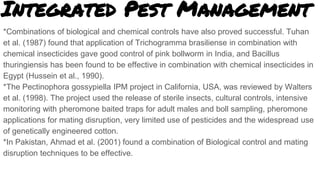 Pectinophora gossypiella (Saunders) | PPTX