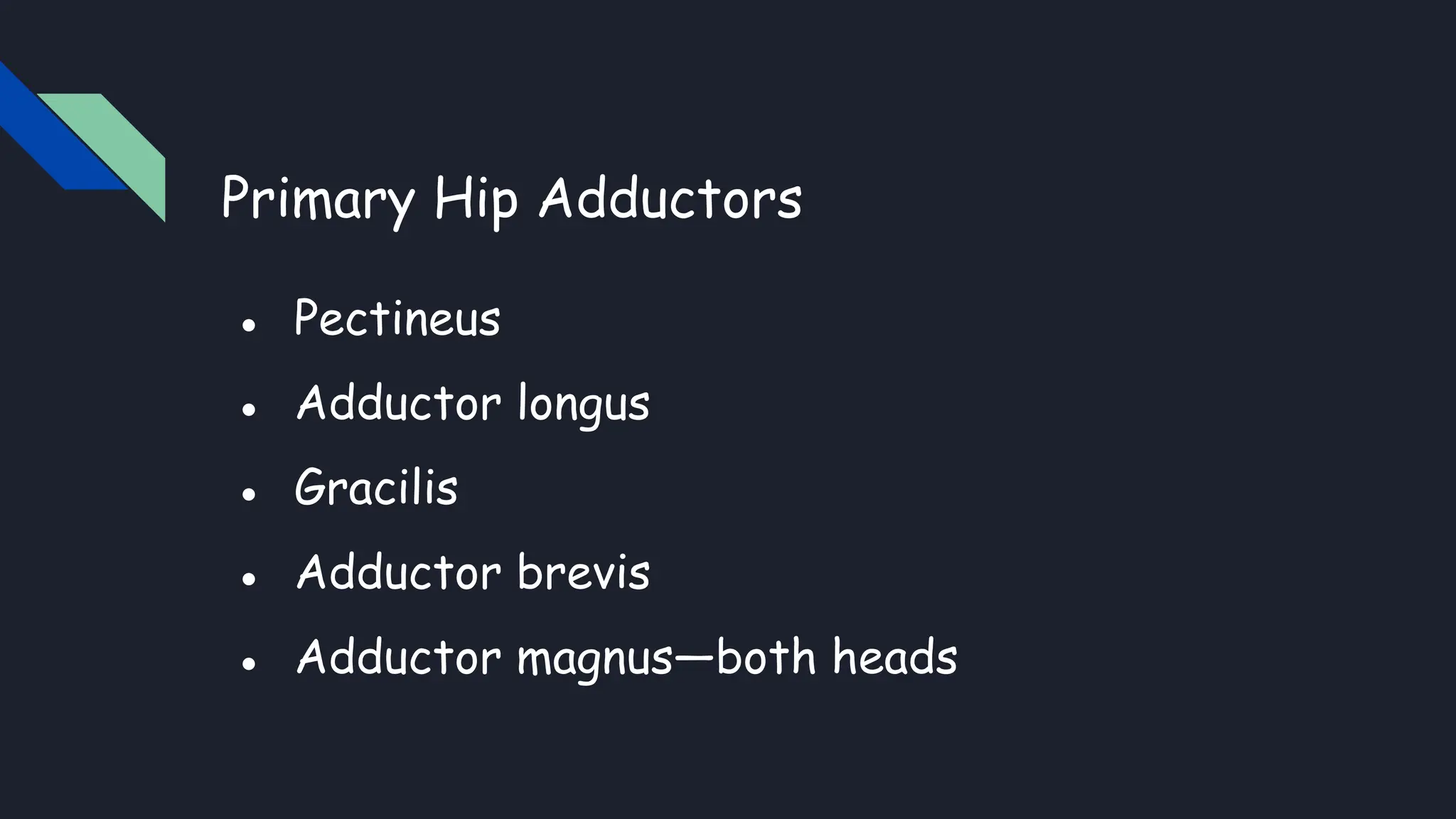 Hip abductors lower limb anatomy......... PPT
