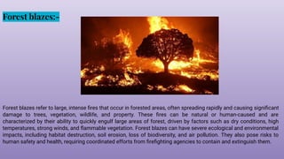 Forest blazes:-
Forest blazes refer to large, intense ﬁres that occur in forested areas, often spreading rapidly and causing signiﬁcant
damage to trees, vegetation, wildlife, and property. These ﬁres can be natural or human-caused and are
characterized by their ability to quickly engulf large areas of forest, driven by factors such as dry conditions, high
temperatures, strong winds, and ﬂammable vegetation. Forest blazes can have severe ecological and environmental
impacts, including habitat destruction, soil erosion, loss of biodiversity, and air pollution. They also pose risks to
human safety and health, requiring coordinated efforts from ﬁreﬁghting agencies to contain and extinguish them.
 