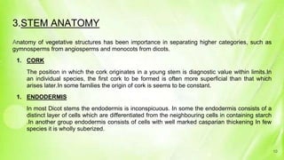 3.STEM ANATOMY
Anatomy of vegetative structures has been importance in separating higher categories, such as
gymnosperms from angiosperms and monocots from dicots.
1. CORK
The position in which the cork originates in a young stem is diagnostic value within limits.In
an individual species, the first cork to be formed is often more superficial than that which
arises later.In some families the origin of cork is seems to be constant.
1. ENDODERMIS
In most Dicot stems the endodermis is inconspicuous. In some the endodermis consists of a
distinct layer of cells which are differentiated from the neighbouring cells in containing starch
.In another group endodermis consists of cells with well marked casparian thickening In few
species it is wholly suberized.
10
 