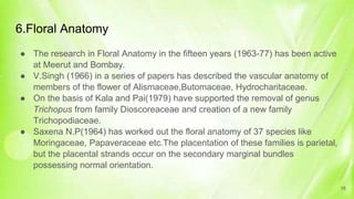 6.Floral Anatomy
● The research in Floral Anatomy in the fifteen years (1963-77) has been active
at Meerut and Bombay.
● V.Singh (1966) in a series of papers has described the vascular anatomy of
members of the flower of Alismaceae,Butomaceae, Hydrocharitaceae.
● On the basis of Kala and Pai(1979) have supported the removal of genus
Trichopus from family Dioscoreaceae and creation of a new family
Trichopodiaceae.
● Saxena N.P(1964) has worked out the floral anatomy of 37 species like
Moringaceae, Papaveraceae etc.The placentation of these families is parietal,
but the placental strands occur on the secondary marginal bundles
possessing normal orientation.
16
 