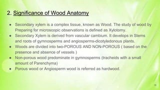 2. Significance of Wood Anatomy
● Secondary xylem is a complex tissue, known as Wood. The study of wood by
Preparing for microscopic observations is defined as Xylotomy.
● Secondary Xylem is derived from vascular cambium. It develops in Stems
and roots of gymnosperms and angiosperms-dicotyledonous plants.
● Woods are divided into two-POROUS AND NON-POROUS ( based on the
presence and absence of vessels )
● Non-porous wood predominate in gymnosperms (tracheids with a small
amount of Parenchyma)
● Porous wood or Angiosperm wood is referred as hardwood.
18
 