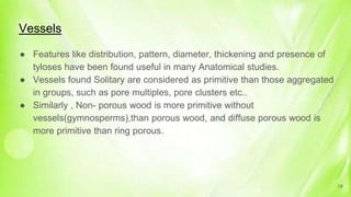 Vessels
● Features like distribution, pattern, diameter, thickening and presence of
tyloses have been found useful in many Anatomical studies.
● Vessels found Solitary are considered as primitive than those aggregated
in groups, such as pore multiples, pore clusters etc..
● Similarly , Non- porous wood is more primitive without
vessels(gymnosperms),than porous wood, and diffuse porous wood is
more primitive than ring porous.
19
 