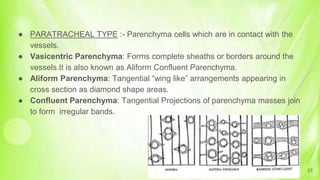 ● PARATRACHEAL TYPE :- Parenchyma cells which are in contact with the
vessels.
● Vasicentric Parenchyma: Forms complete sheaths or borders around the
vessels.It is also known as Aliform Confluent Parenchyma.
● Aliform Parenchyma: Tangential “wing like” arrangements appearing in
cross section as diamond shape areas.
● Confluent Parenchyma: Tangential Projections of parenchyma masses join
to form irregular bands.
23
 