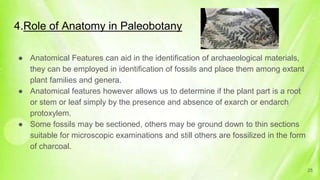 4.Role of Anatomy in Paleobotany
● Anatomical Features can aid in the identification of archaeological materials,
they can be employed in identification of fossils and place them among extant
plant families and genera.
● Anatomical features however allows us to determine if the plant part is a root
or stem or leaf simply by the presence and absence of exarch or endarch
protoxylem.
● Some fossils may be sectioned, others may be ground down to thin sections
suitable for microscopic examinations and still others are fossilized in the form
of charcoal.
25
 