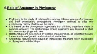 6.Role of Anatomy in Phylogeny
● Phylogeny is the study of relationships among different groups of organisms
and their evolutionary development. Phylogeny attempts to trace the
evolutionary history of all life on the planet.
● It is based on the phylogenetic hypothesis that all living organisms share a
common ancestry. The relationships among organisms are depicted in what
is known as a phylogenetic tree.
● Relationships are determined by shared characteristics, as indicated through
the comparison of genetic and anatomical similarities.
● Anatomical features have played an increasingly important role in elucidation
of phylogenetic relationships.
36
 