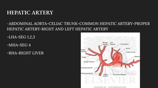 Management of Liver Injuries | PDF
